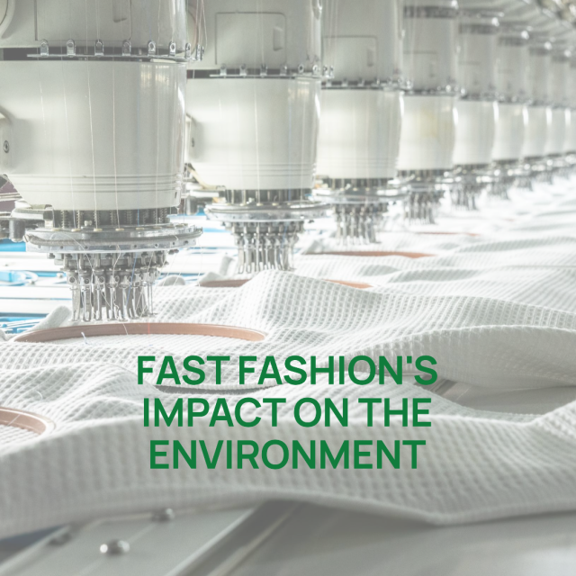 Impact of Fast Fashion Environment